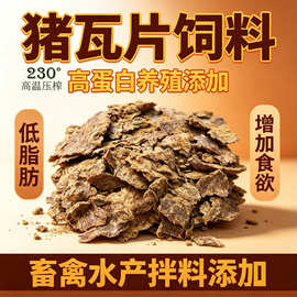 高温压榨猪下脚料瓦片饼肥家畜高蛋白水产养殖饲料添加低脂肪催肥