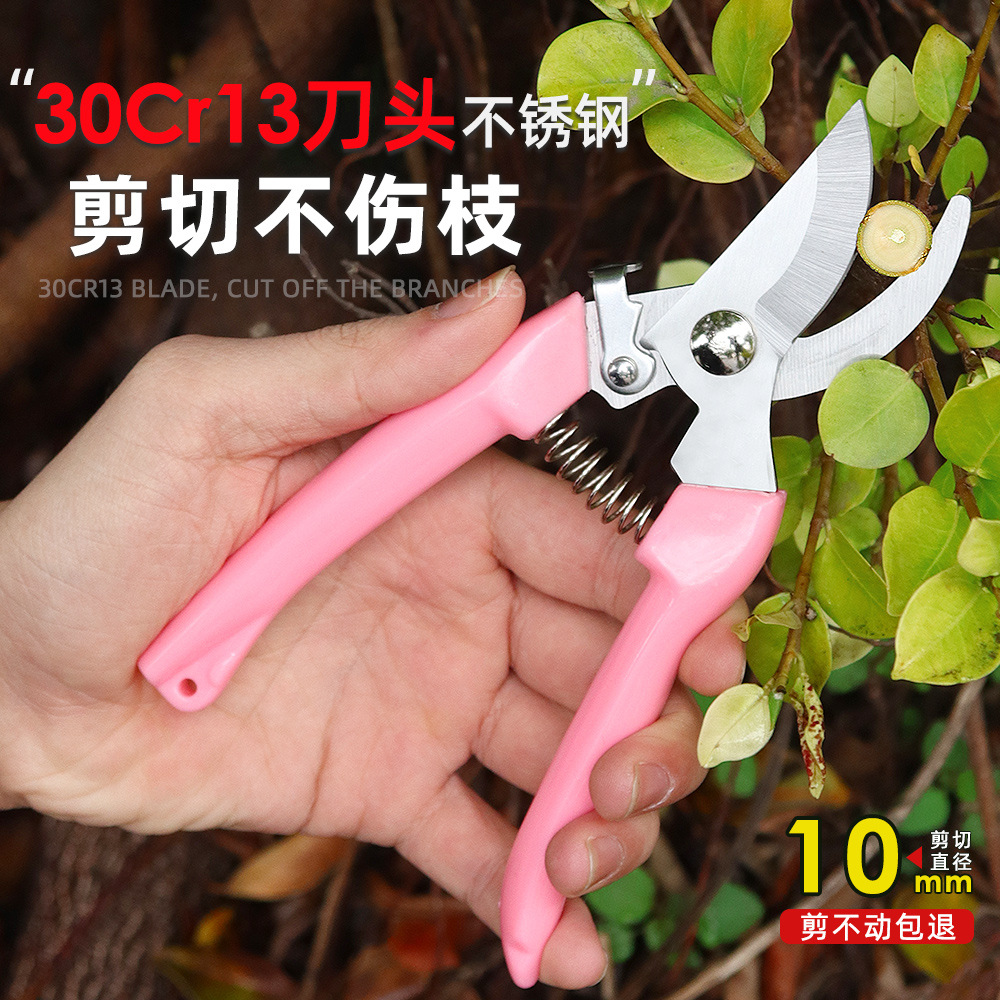 园艺修枝剪刀不锈钢剪彩色手柄摘果剪盆栽苗圃修剪花枝剪园林工具