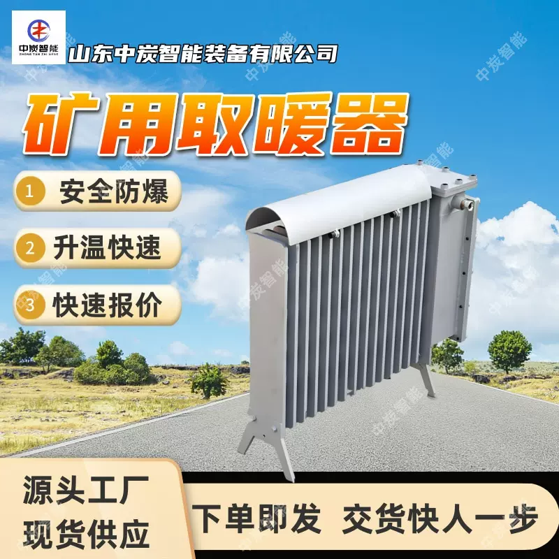 防爆电暖器 大面积取暖 安全防爆 RBE-1000/127防爆电暖器