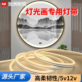 led硅胶灯带5V12V发光挂画带灯装饰画低压软灯条批发柔性灯带6*12