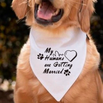 Фабрика в наличии двухслойные западные свадебные украшения собака Слюна полотенце Собака треугольник полотенце товары для домашних животных оптом