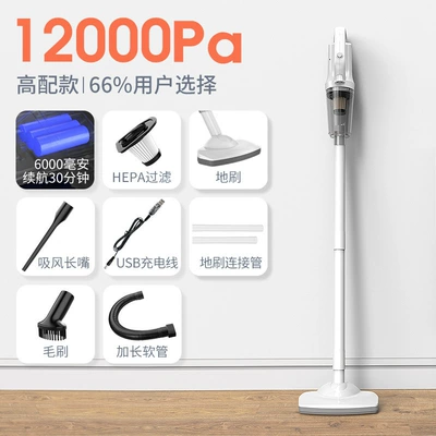 Floor Mop, Dual-Purpose Portable Vacuum – Tozsoranlar