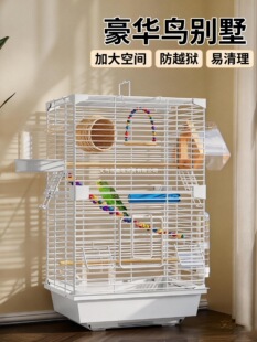 �B�\�W�^�\�ӄe��С̫ꖻ�Ƥ���Pĵ����̖�����B���ͷ��R�B��