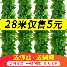 藤条绿植藤蔓绿叶假树叶塑料花吊顶下水管道空调管子装饰遮挡