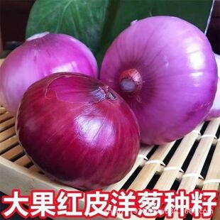 �tƤ���[�N�ӷN�ѷNֲ�ش�A�[�ͺ���Ƥ�ļ��[�N���߲˷N��