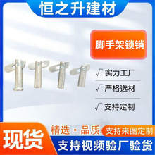 �S�ҹ����i�N�i�� �_�ּ�����i�N ��\С�����i�̶��N ���U�i�N