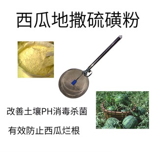 �����Q���^�V늄ӵ�h���Y��ۺY��ĩʯ�ҷ۷Nֲ�����ը�u�ۙC�Y
