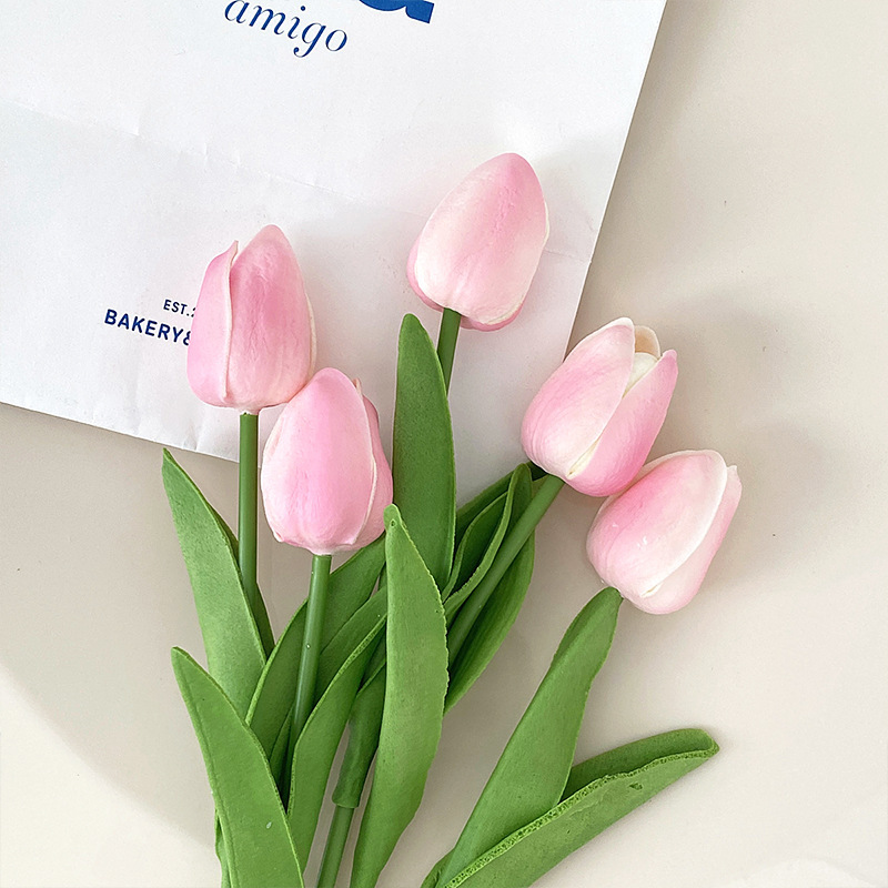 튤립 인 스타일 - 사쿠라 핑크