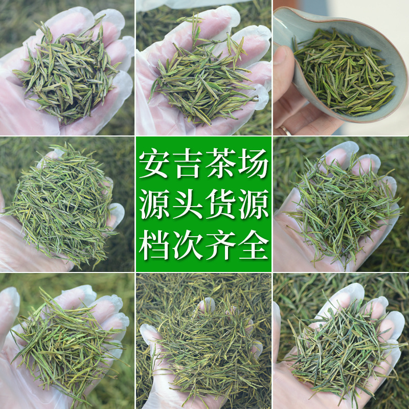 2026 New Tea Anji Original Origin Tea Wholesale Mingqian Tea Loose Authentic Kun Tong Anji White Tea Green Tea Leaves