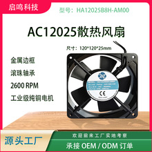 �羳؛Դ12025����ɢ���L�� �C�������Cе�O�����L������Ʒ����