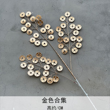 ��ɫ�y���~�ȼ������~�ӷ��涬����t���Ӱlؔ���ٻ����滨���l