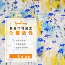 全棉府绸数码印花小碎花 童装女装服装梭织面料数码印花布工厂