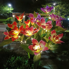 7头太阳能兰花灯led别墅花园装饰户外防水地插灯草坪花灯防水长效