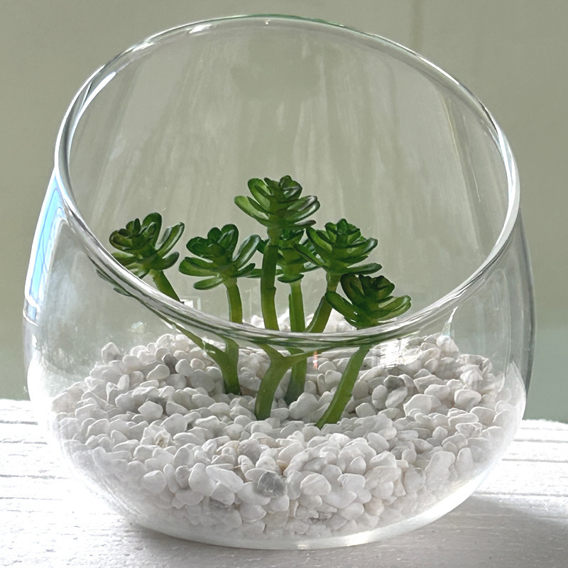 クリエイティブな透明な斜めガラス花瓶、苔、多肉植物マイクロランドスケープ DIY エコボトルデスクトップ水槽装飾品|undefined