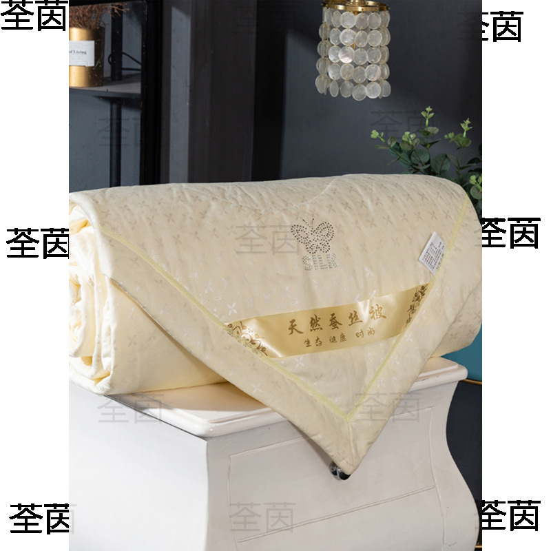 2025 New Silk Quilt Mulberry Silk Summer Cool Quilt Double Washable Air-Conditioned Kidsren's Thin Quilt Student Dormitory