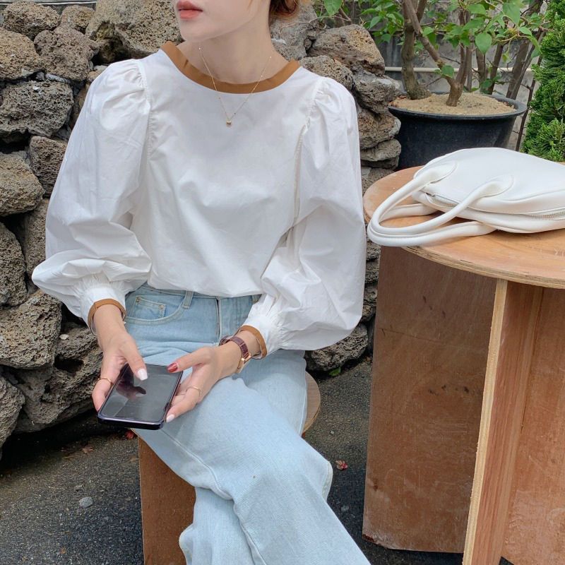 小众春装新款长袖衬衫女2025感设计灯笼袖上衣韩版气质衬衣宽松|undefined