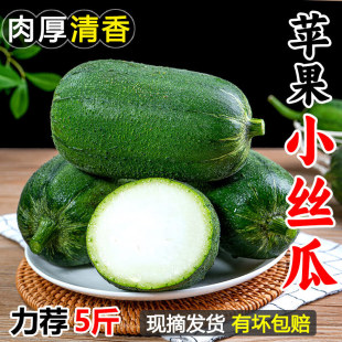 ���r�O���z��5���b�Ƶ���߲ˈA���ЋD�z������z�ϬFժ�}���߲�