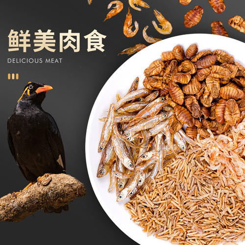 African Grey Parrot Training Treats: Bread Insects, Millet Insects, Cuttlebone, Tiger Tail Finches