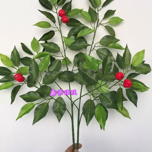 ������~ �����~���~�����~܇���Ӽ٘��~���̈@�ֽ��� ������@