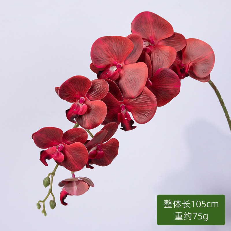 9 orquídeas de mariposa (rojo)