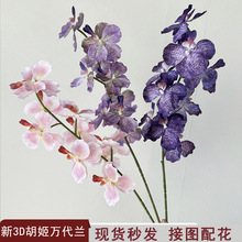 �羳��Ʒ��������m�����m��֦�f���m�ҾӲ廨�Ƶ��d��Y���b�