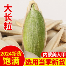 ��؛2024���˼��½������L��M���Ϲ��Ӵ��w���Ϲ��Ѵ��L���l