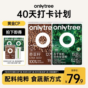 ���S��40�졿OnlyTree�����ЙC���¸��{�恆��ī�����M����ʳ�_��