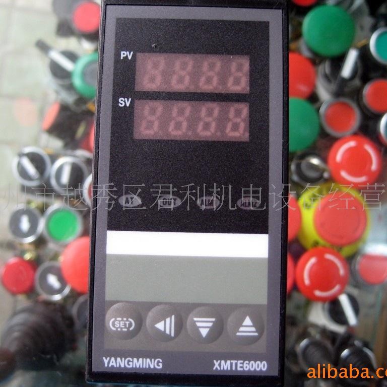 供应YANGMING温控XMTE-6000  XMTE-6012