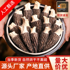 羊の腹の菌の卸売りの箱の乾燥品の卸売り市場の雲南の特産品のスープのキノコは農産物の原産地を包んでまっすぐに出します。