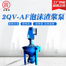 3QV-AF泡沫渣浆泵 输送泡沫类浆体用泵 立式高铬合金渣浆泵浮选机