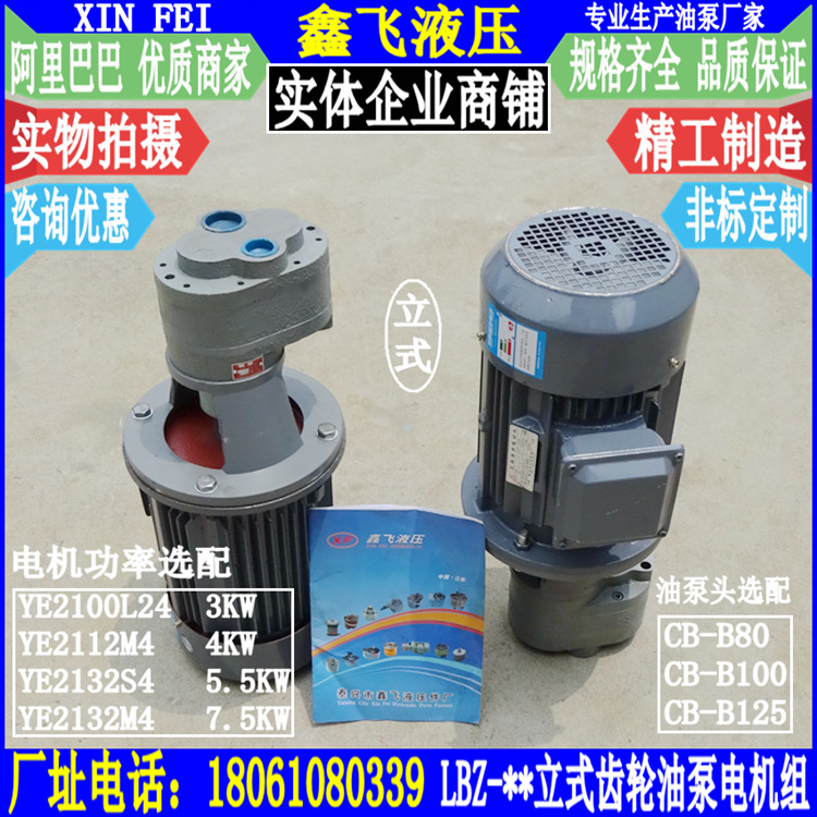 LBZ-80 LBZ-100 LBZ-125立式齿轮油泵电机组YE2132S4 5.5KW