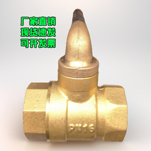 �S��ֱ�N�F؛�ٰl���_�lƱ�S�~�ݼy�B��ů�⎧�i����÷���i�]���y