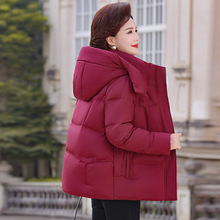 �߶��p����q��Ů�̿�2025�¿�С���Ӌ����Ӻ�ů�����q��������