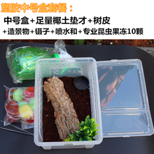独角仙成虫甲虫爬宠饲养套餐亚克力透明盒锹形虫守宫蜘蛛饲养箱