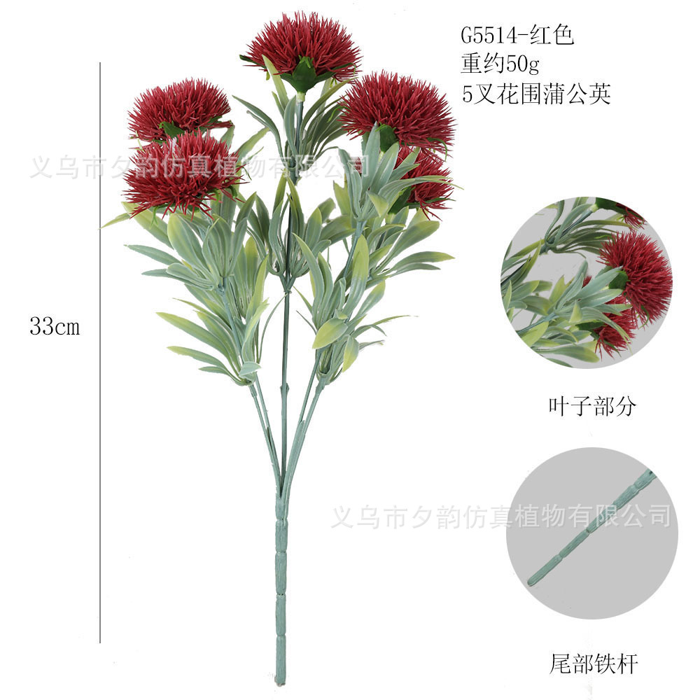 G5514-밀크레드 5갈래 꽃 민들레