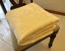 秋冬款拉舍尔单层毯毛毯毯子盖毯沙发膝盖毯童毯规格：110*140