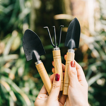 ����С�P�ӷN���B���F�@�������P�@ˇ�Nֲ���⹤�����b�����׾Gֲ