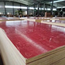 ����ľ���彨�Bʩ�����Bľģ�帣����������S�����l���挒���D��