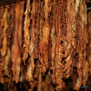 �D��ζ�����خaѬ�D���c��Ѭ�D�c�D���c �D���D�i���c�D�����c