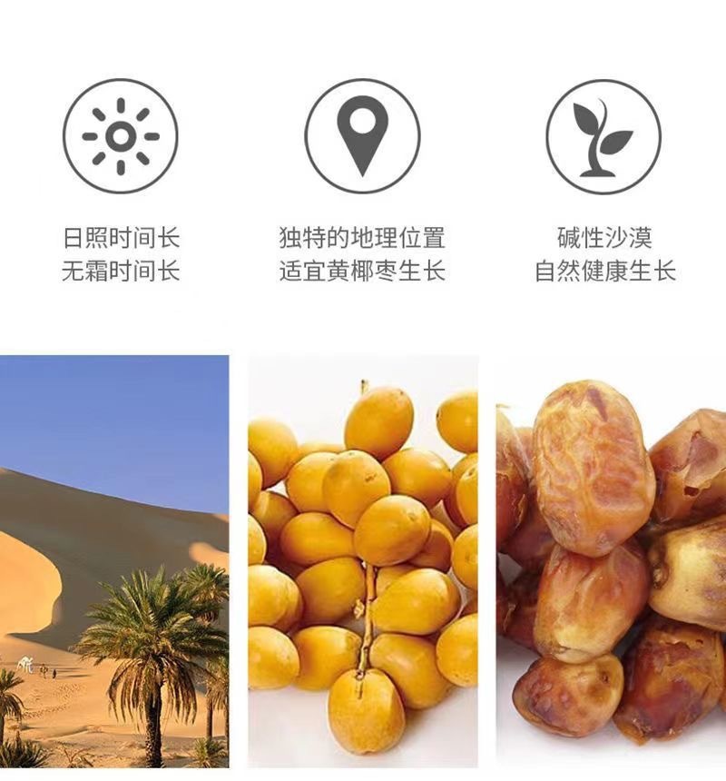 Large Golden Jujube Dates Dried Fruit Snack Premium Grade 500g Bag key features