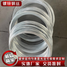 热镀锌钢丝农业大棚搭架钢丝户外果树拉线1-6mm建筑穿线钢丝绑丝