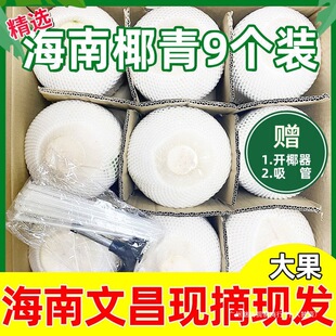 Ҭ�Ӻ���Ҭ�����rȥƤ��Ҭ����ˮ��Ҭ���u֭ˮ���ЋD�Ĳ������خa