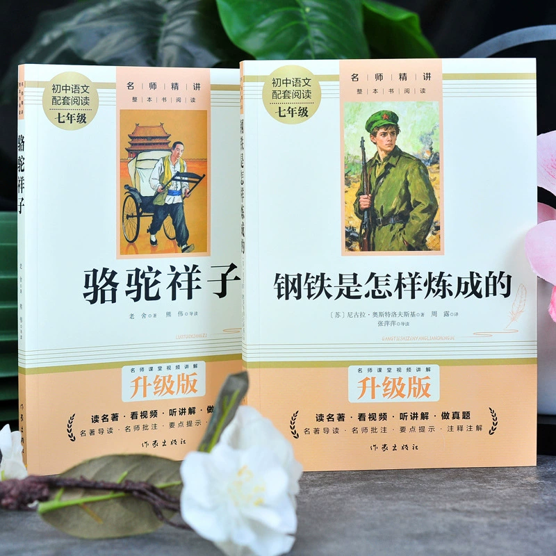 Ц camel Xiangzi и Как сталь закалялась - Том 2, обязательно к прочтению для семиклассников, внеурочная книга для учеников средней школы, оригинал для первой ступени старшей школы