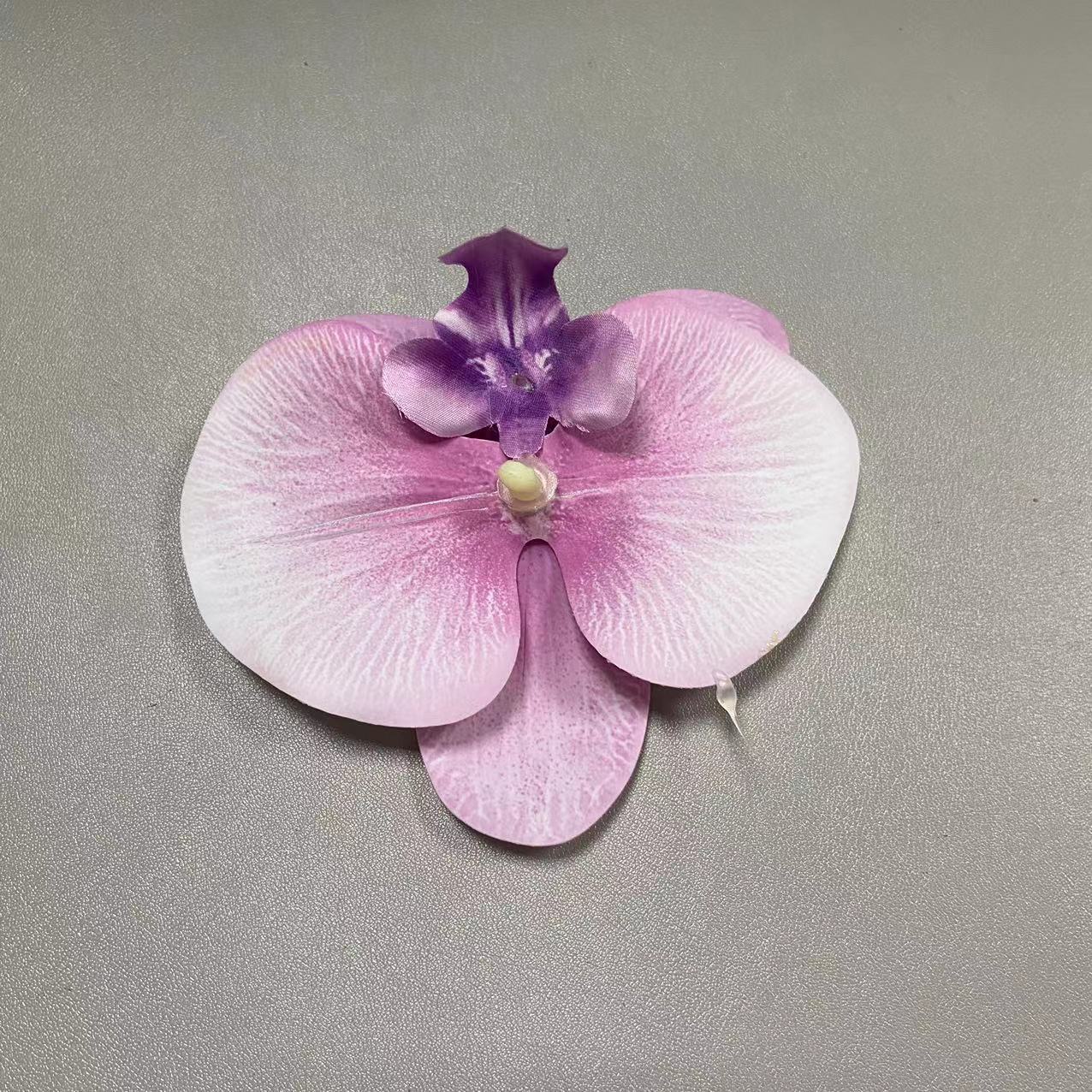 21호