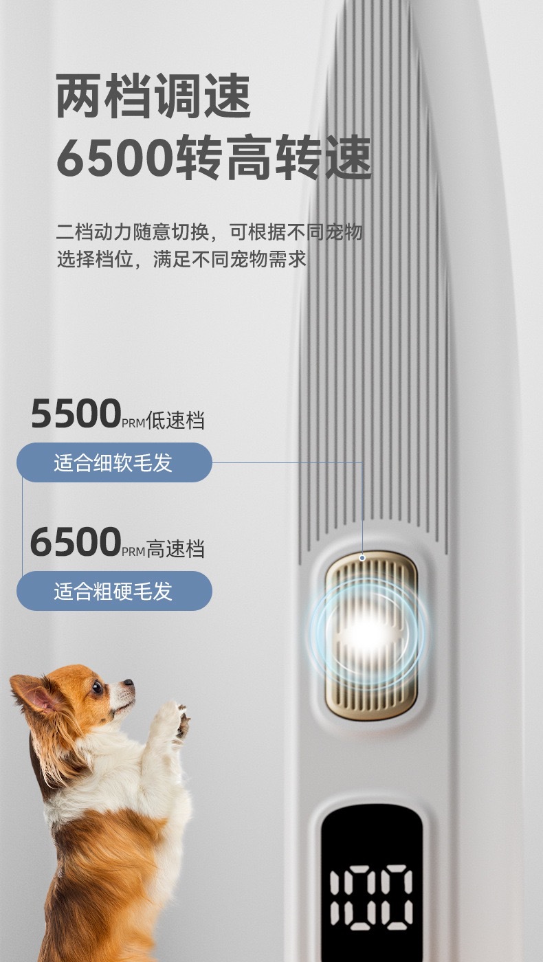 O1CN01DqUNCk1XkBmnx9l8A_!!968142961-0-cib.jpg?__r__=1740109264095