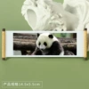 Panda 202