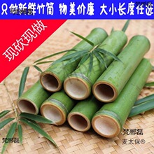 ���ڏV����Ͳ���Ͳ ���ß������ֹ���Ͳ��Ͳ ���rŴ��������̫��