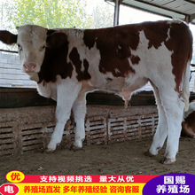 �������T������ţ ���������T����ţ�Bֳ�� �SţС��ţ�r��