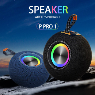 PPRO1�羳�A�Οo���{��������푑�����������忨���������w