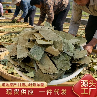 甘肃淫羊藿叶100g羊合叶无硫新货羊合叶精选中药材代发批发